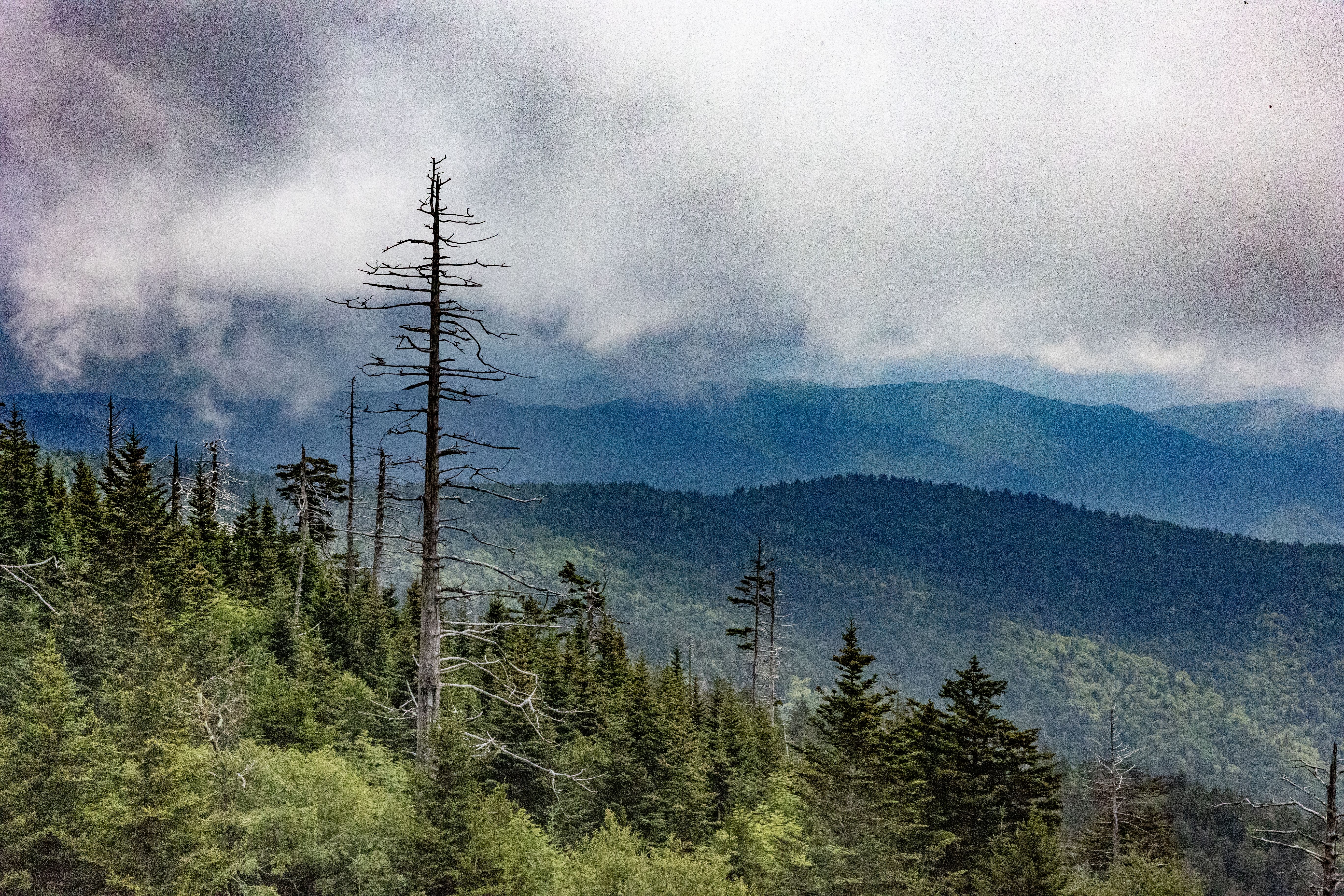 Smoky Mountains National Park